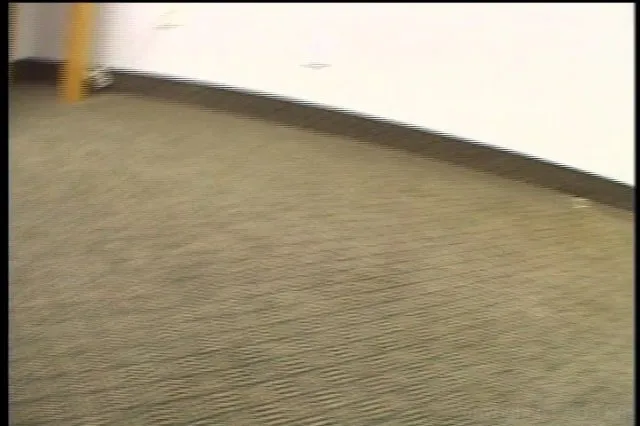 POV Pervert 3 