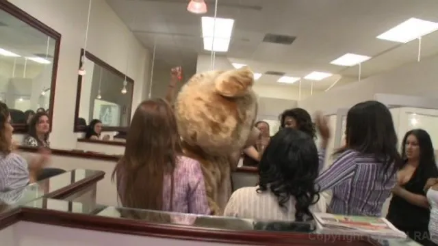 Dancing Bear 13 
