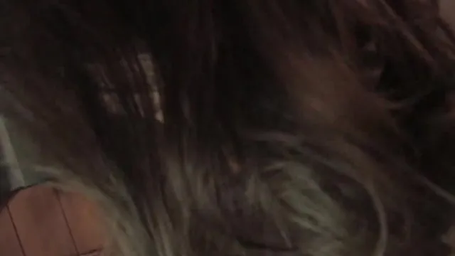 Sexy Asian Sluts 2 
