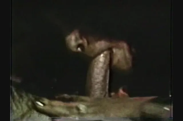 Last Porn Classics 