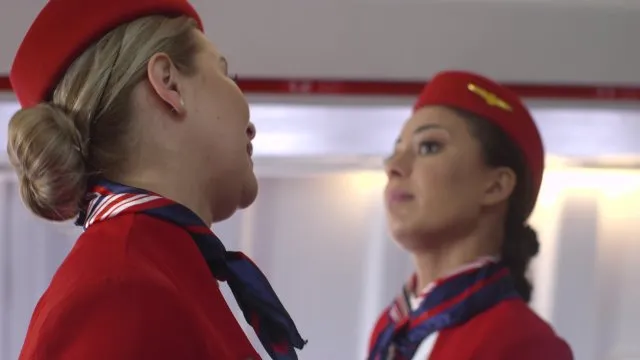 The Flight Attendants 