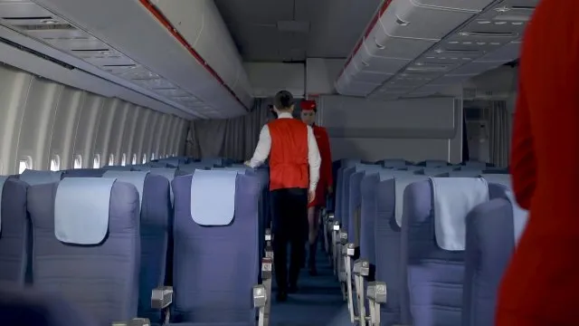The Flight Attendants 