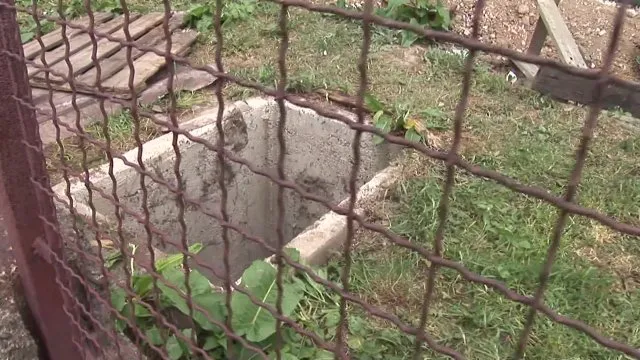 All That Anal 