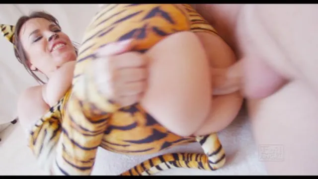 Analmals 1 
