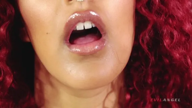Anal Please 3 (2 Disc Set) 