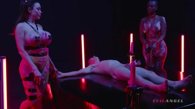 The Sex Artists 