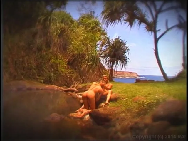 Island Fever 1 
