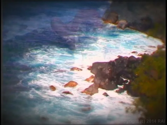Island Fever 1 