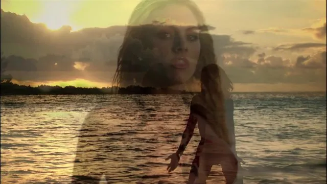 Island Fever 4 (3 Disc Set) 