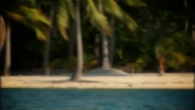 Island Fever 4 (3 Disc Set) 