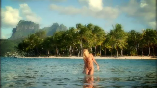 Island Fever 4 (3 Disc Set) 
