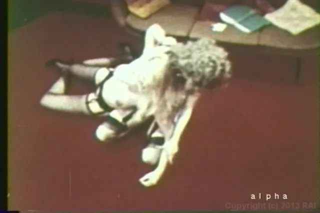 Candy's Big Tit Wrestling 
