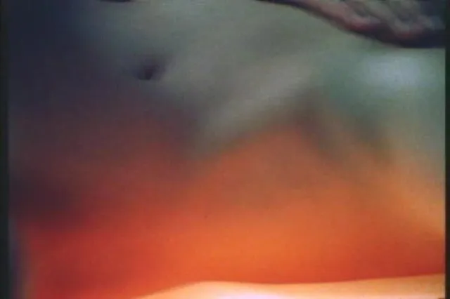 Seka's Anal Ecstasy 