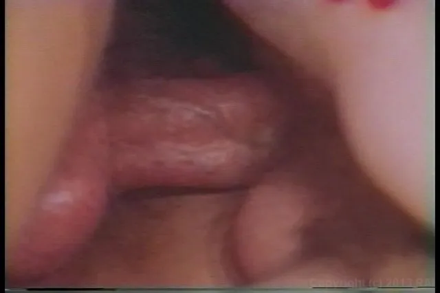 Vanessa's Anal Fiesta 