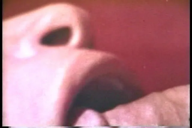 Vanessa's Anal Fiesta 