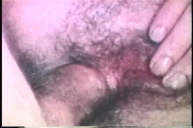 Anal Housewives 