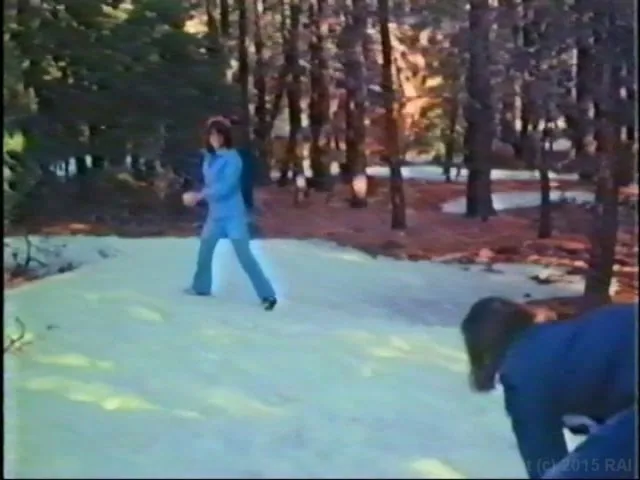 The Married Woman Plus The Lost Films Of Justina Lynne 