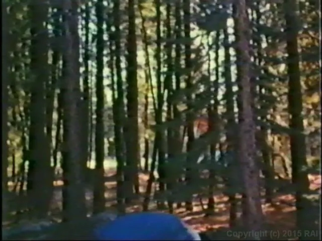 The Married Woman Plus The Lost Films Of Justina Lynne 
