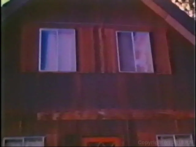 The Married Woman Plus The Lost Films Of Justina Lynne 