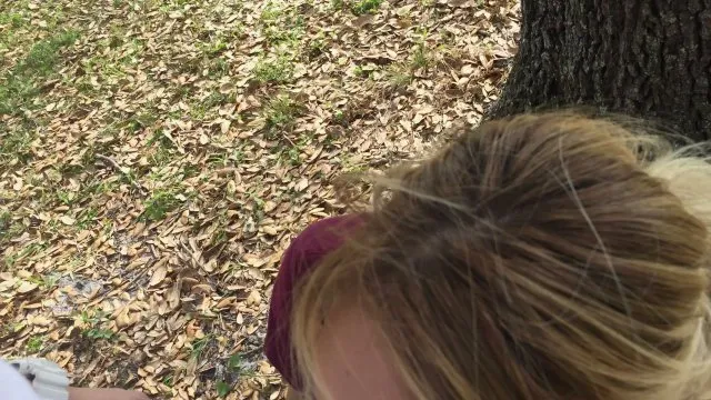 Crazy College GFs 3 