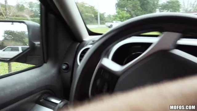 Pussy Passenger 3 