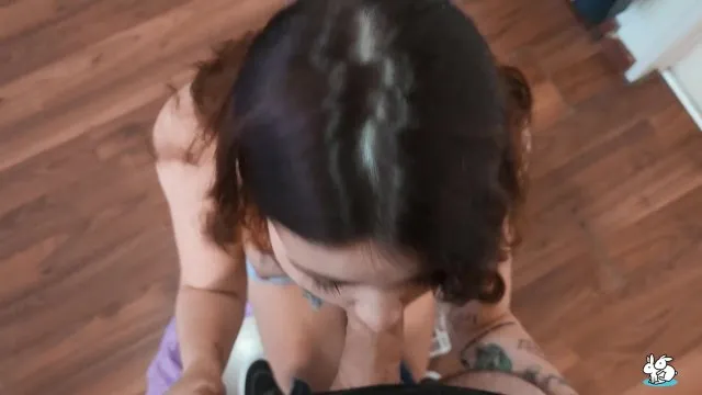 True Amateurs 34 