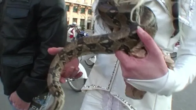 Lovely Spanish Bitches 