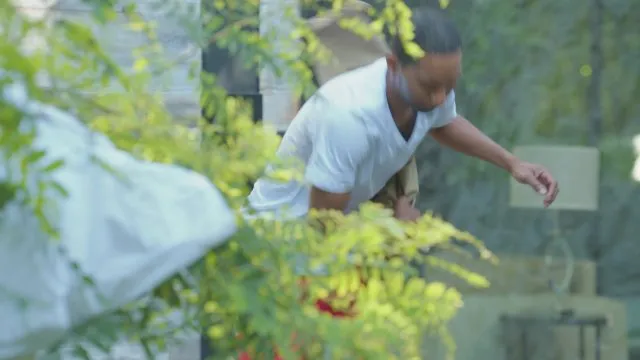 Trim 1 