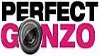 Perfect Gonzo