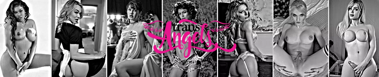 Trans Angels